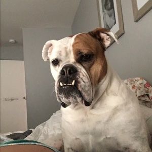 Meet your Posher, Brooke